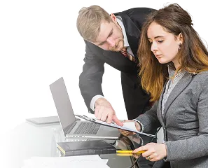 Профессиональное портфолио